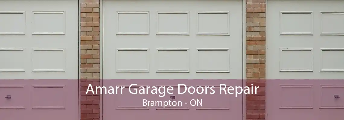 Amarr Garage Doors Repair Brampton - ON