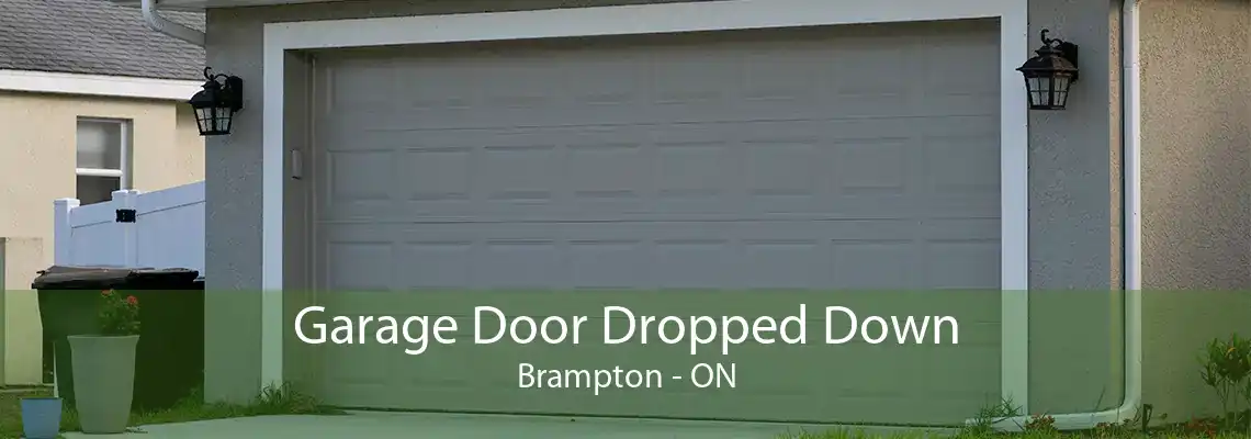 Garage Door Dropped Down Brampton - ON