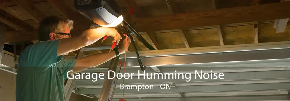 Garage Door Humming Noise Brampton - ON