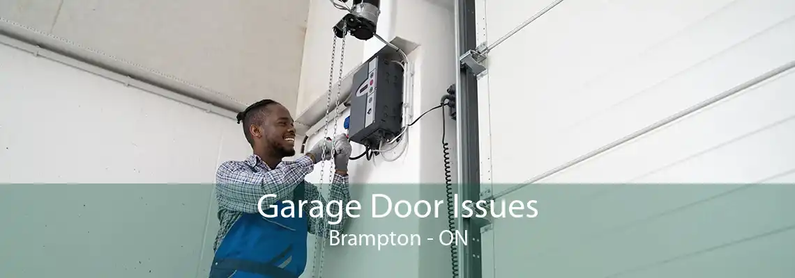 Garage Door Issues Brampton - ON