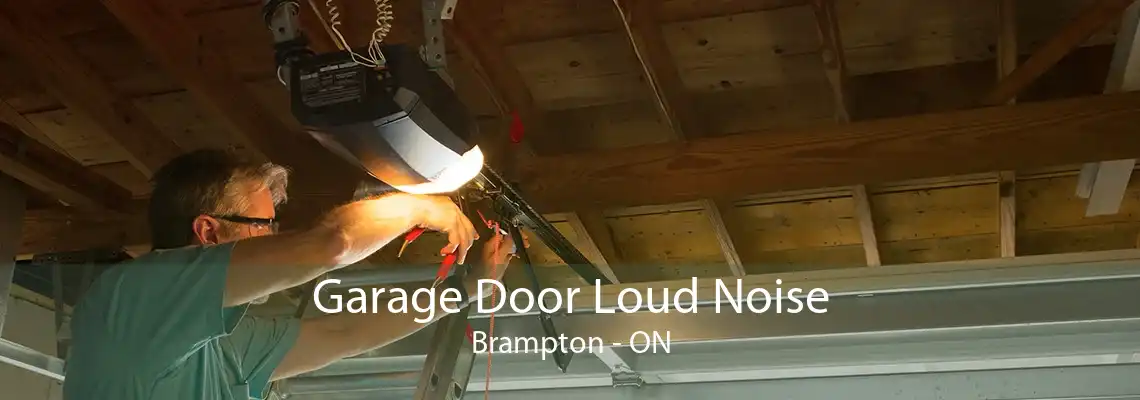 Garage Door Loud Noise Brampton - ON