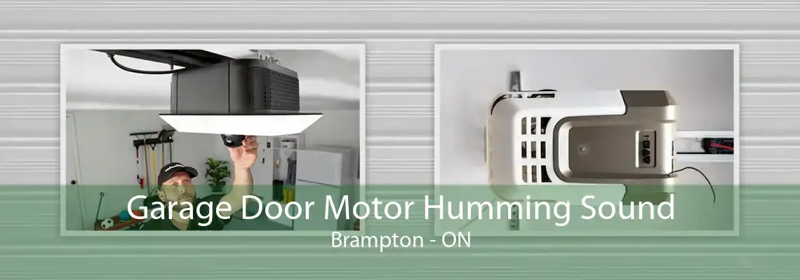 Garage Door Motor Humming Sound Brampton - ON