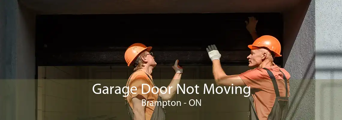 Garage Door Not Moving Brampton - ON