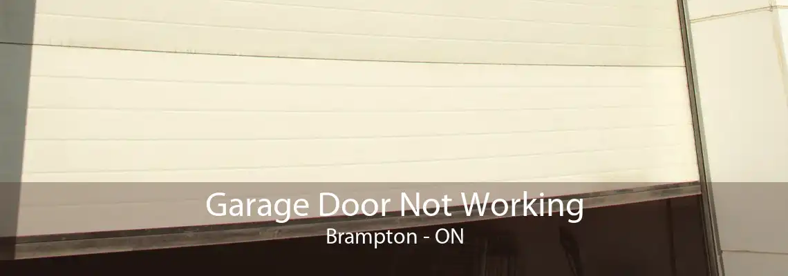 Garage Door Not Working Brampton - ON