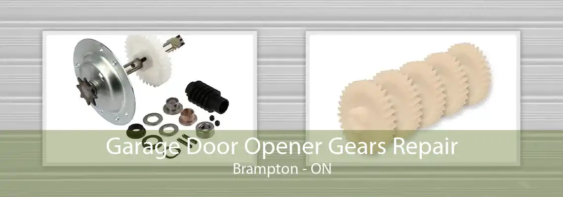 Garage Door Opener Gears Repair Brampton - ON