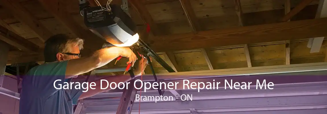 Garage Door Opener Repair Near Me Brampton - ON