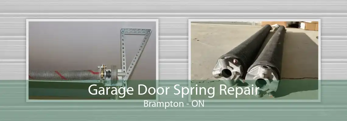 Garage Door Spring Repair Brampton - ON