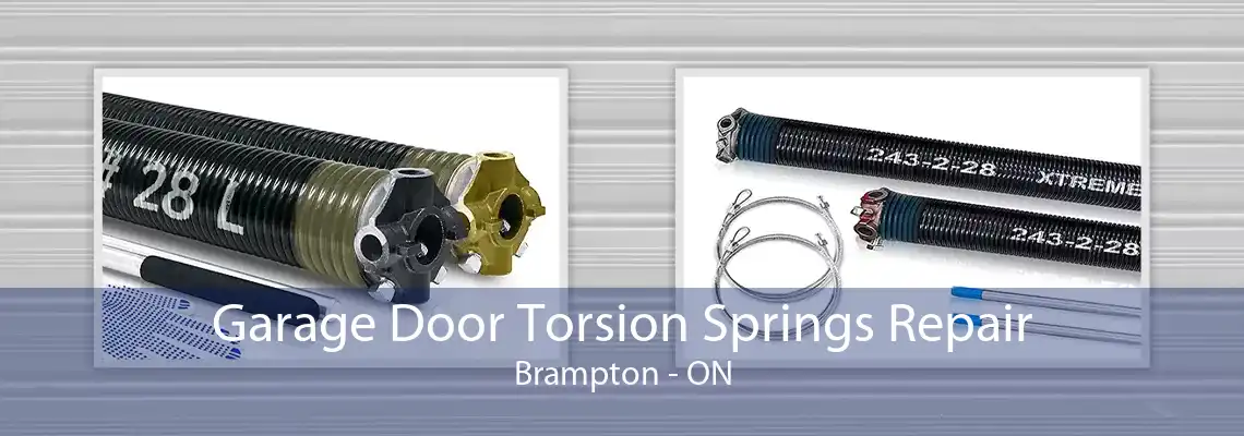 Garage Door Torsion Springs Repair Brampton - ON