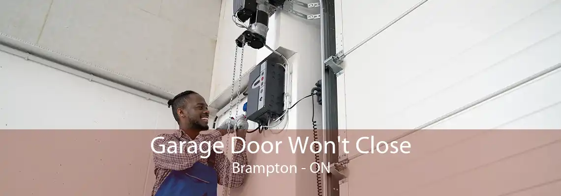 Garage Door Won't Close Brampton - ON