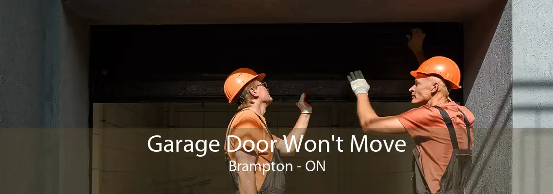 Garage Door Won't Move Brampton - ON