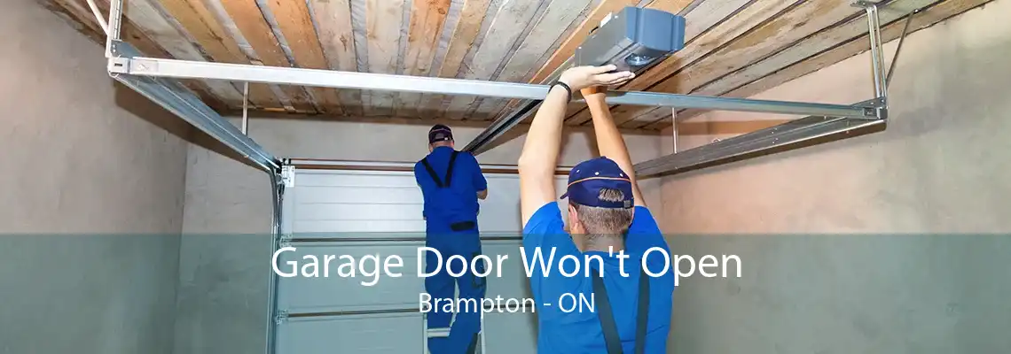 Garage Door Won't Open Brampton - ON